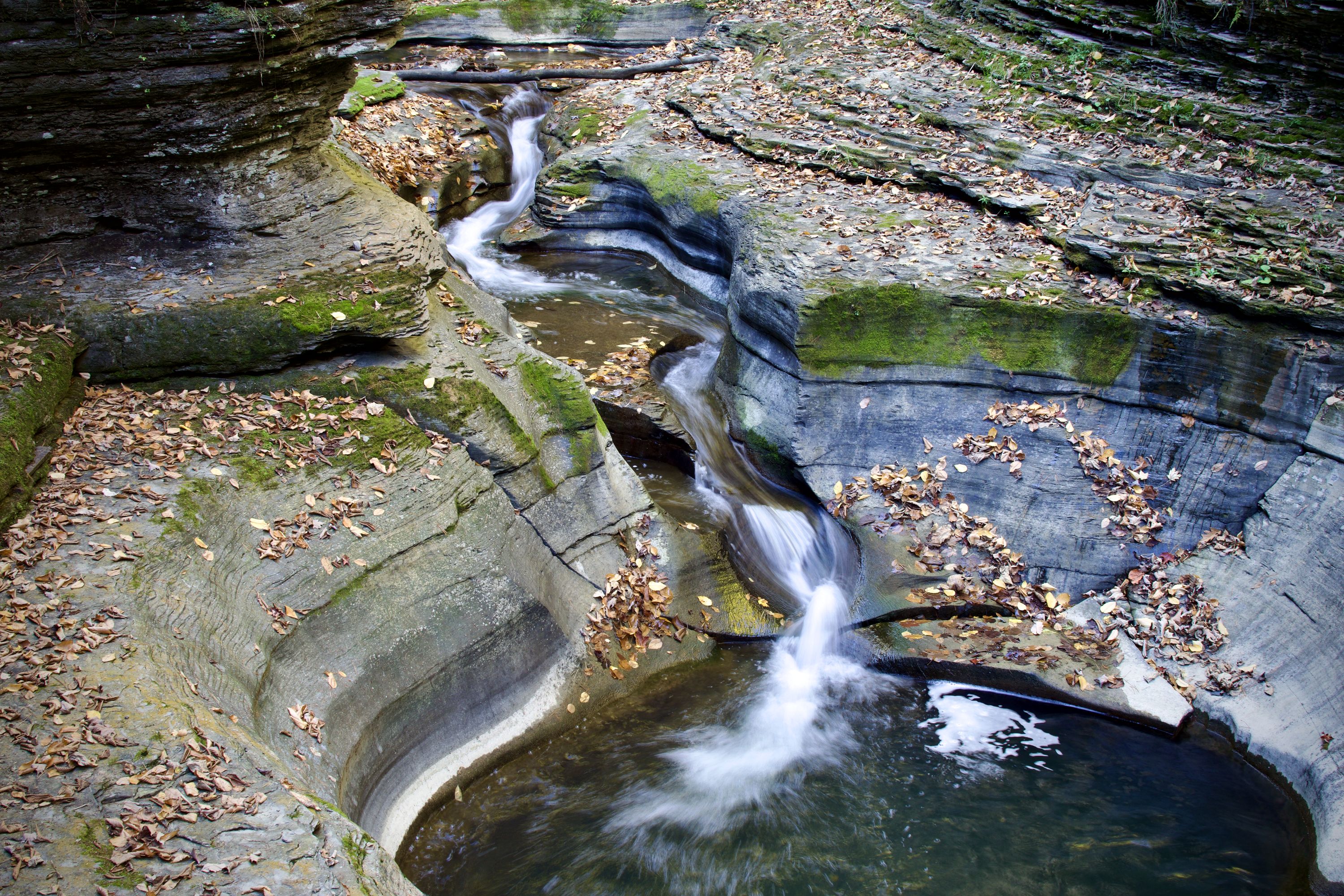 A blurry stream of water flows through a windy crevice it has carved into layered rock. It exits with some excitement into a small basin. Green moss grows on the sides of the rock and reddish-brown leaves litter the floor of the gorge.